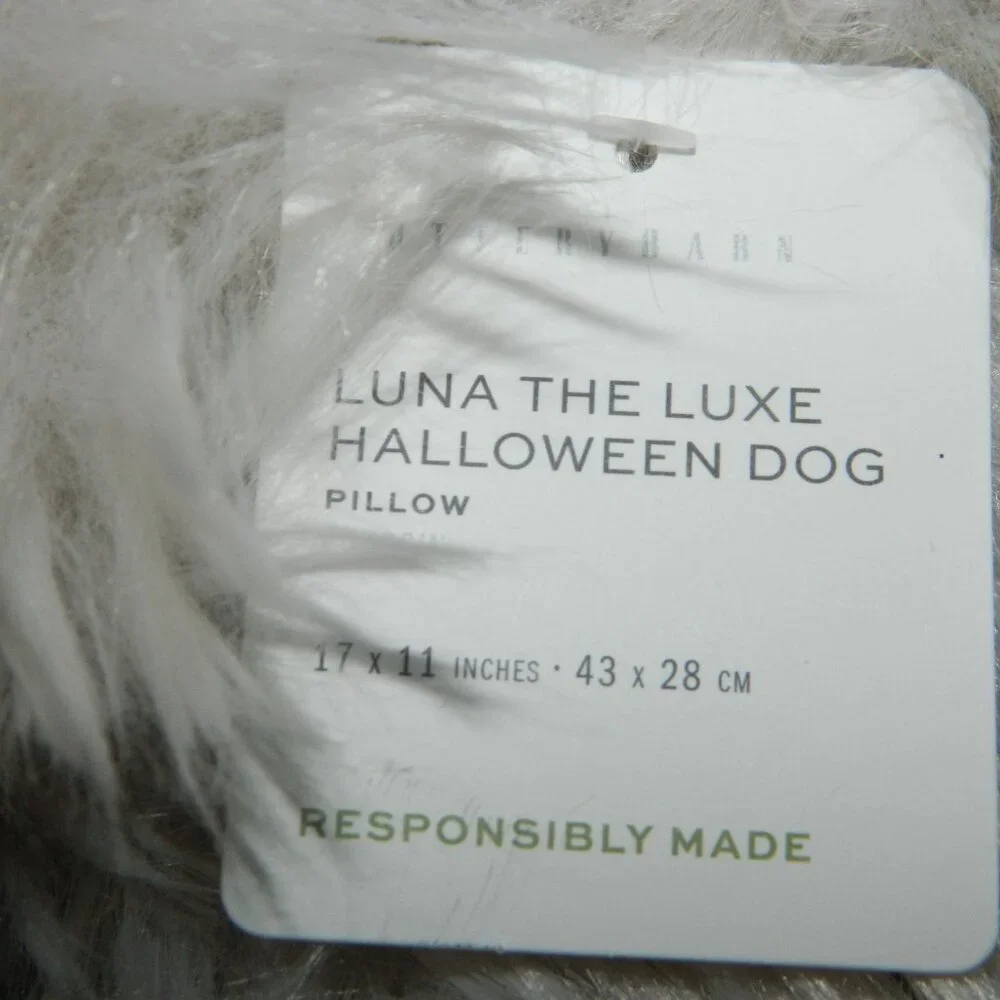 Pottery Barn Luna the Luxe Dog Pillow BOO Halloween